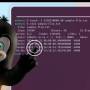 the-linux-mascot-touching-the-screen-with-the-linux-terminal-in-the-background-512168734.jpg